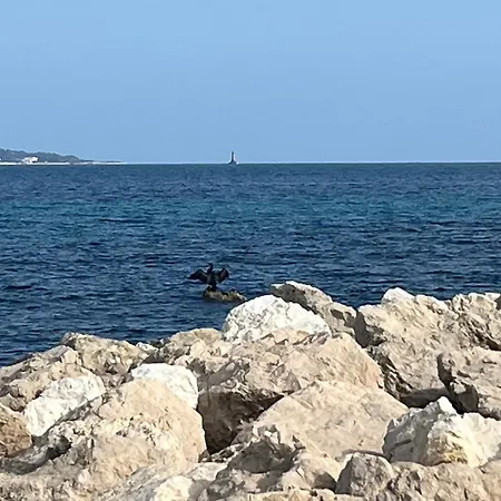 Positive Apartment Cannes