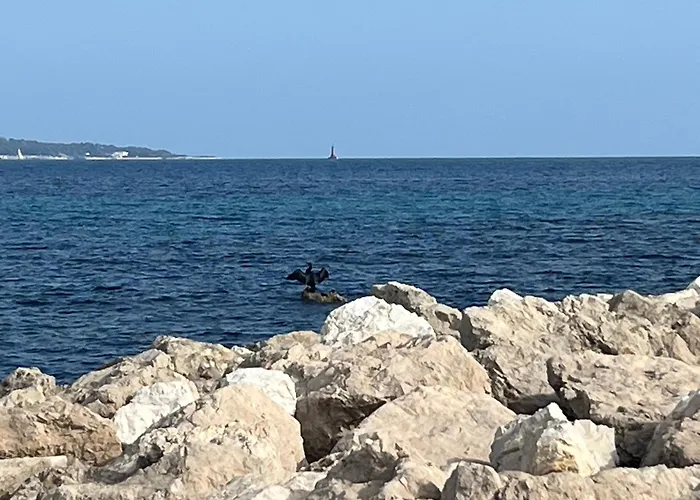 Positive Apartman Cannes