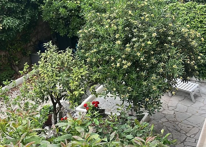 Positive * カンヌ